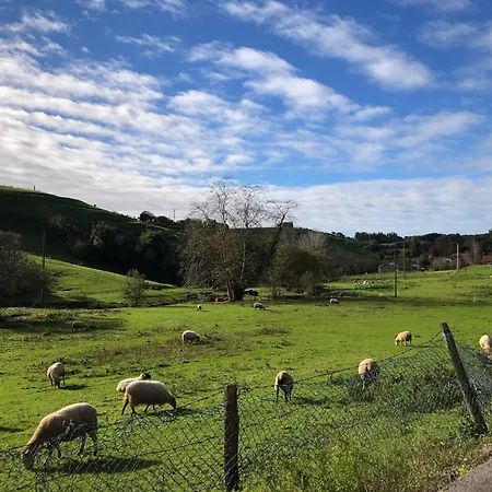 Апартаменты Rozando El Mar En Puerto Calderon *