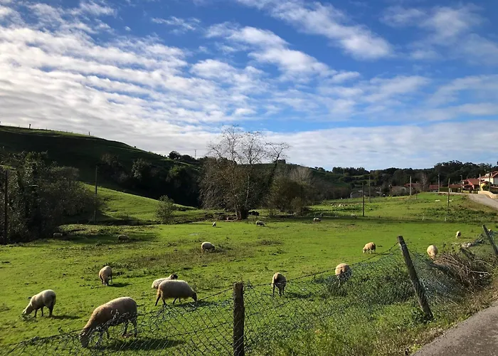 Lejlighed Rozando El Mar En Puerto Calderon *